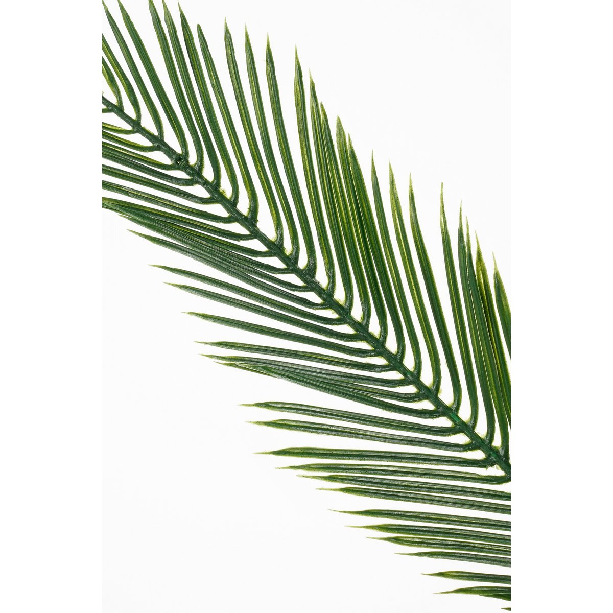 Cycas Palm Kunstplant - H150 x Ø100 cm - Groen-Mica Decorations-Ik Hout ervan.