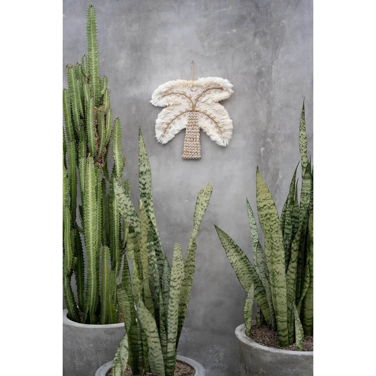 Bohemian Cotton Shell Palm Wall Decor in White and Natural surrounded by lush green indoor plants.