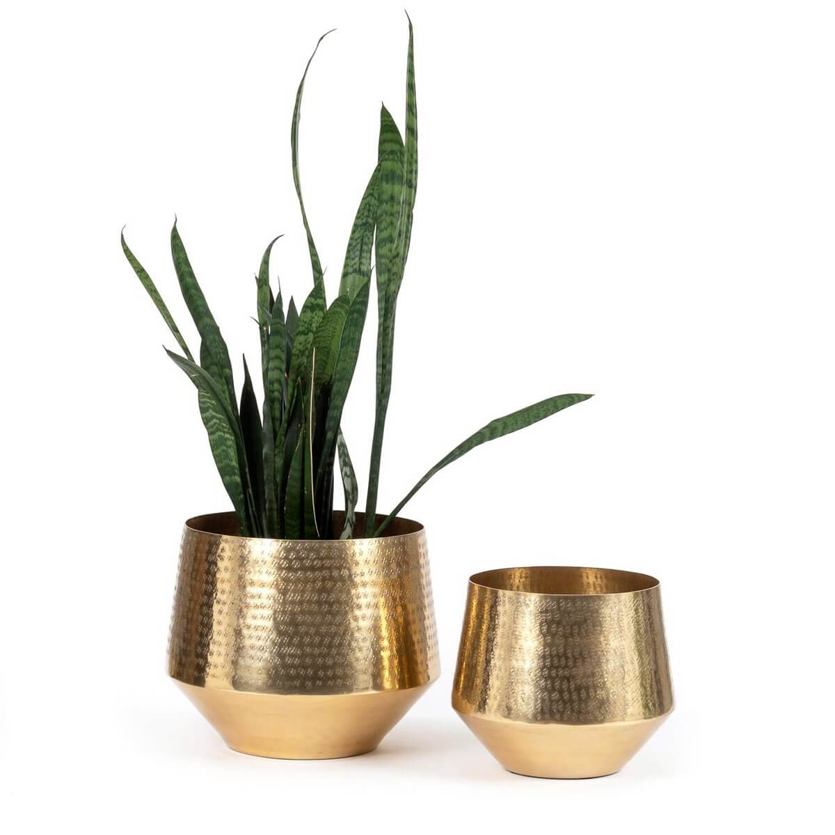 De Gehamerde Plantenbak - Messing - XL-Bazar Bizar Living-Ik Hout ervan.