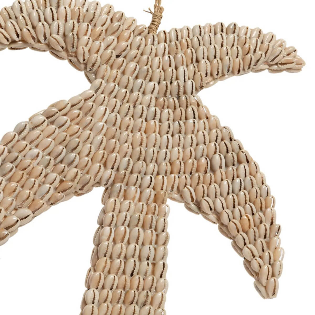 Bohemian shell palm tree wall hanging, handmade in Bali, perfect for tropical decor in living rooms and outdoor spaces.