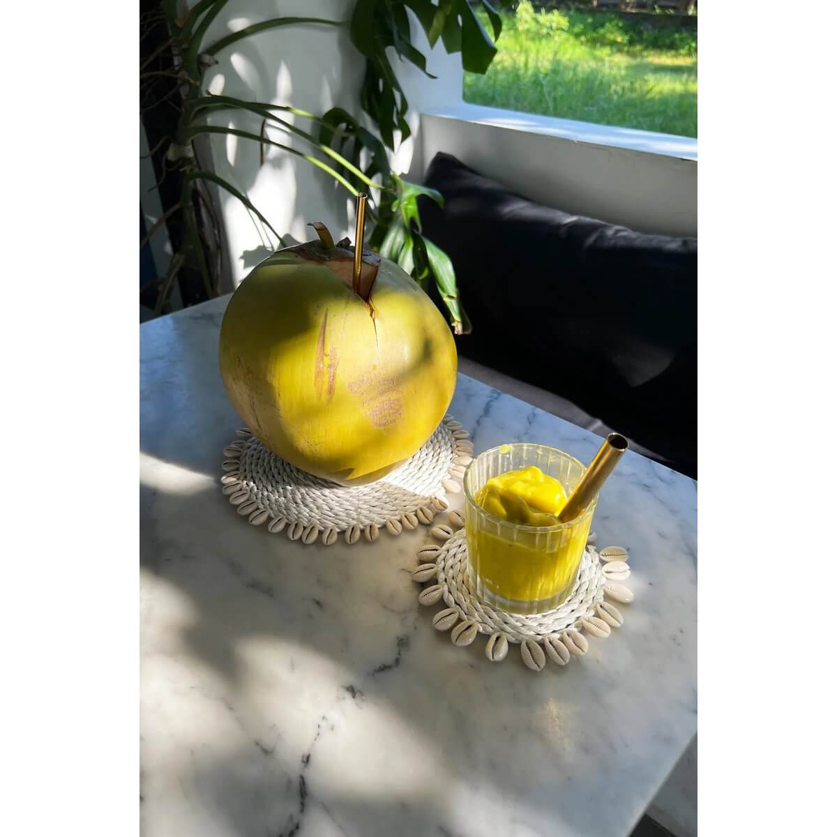 De Seagrass Shell Coaster - set van 4