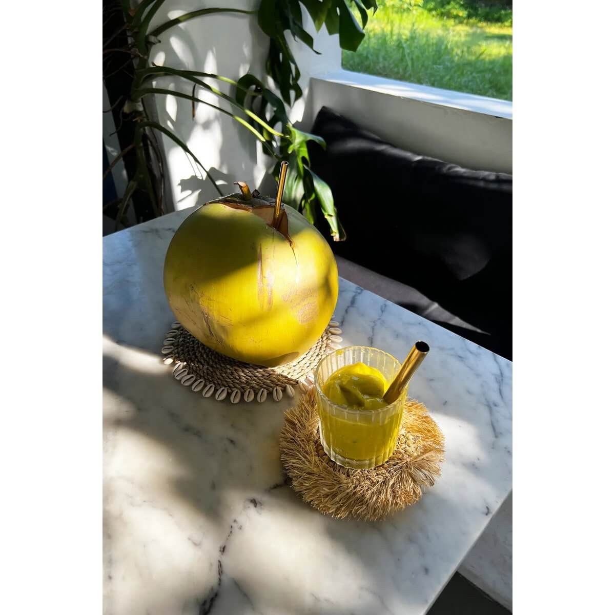 De Seagrass Shell Pan Coaster - Natural