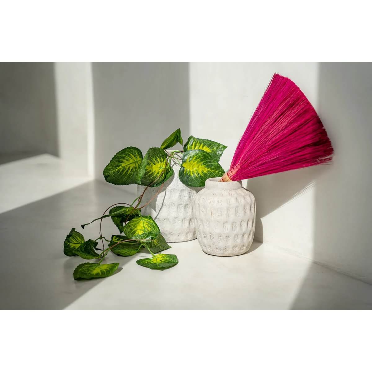 Bohemian pink broom in white vase with green leaves, perfect for stylish home decor.