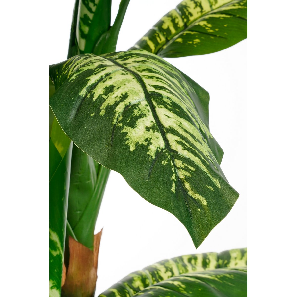 Dieffenbachia Kunstplant - H150 x Ø70 cm-Mica Decorations-Ik Hout ervan.