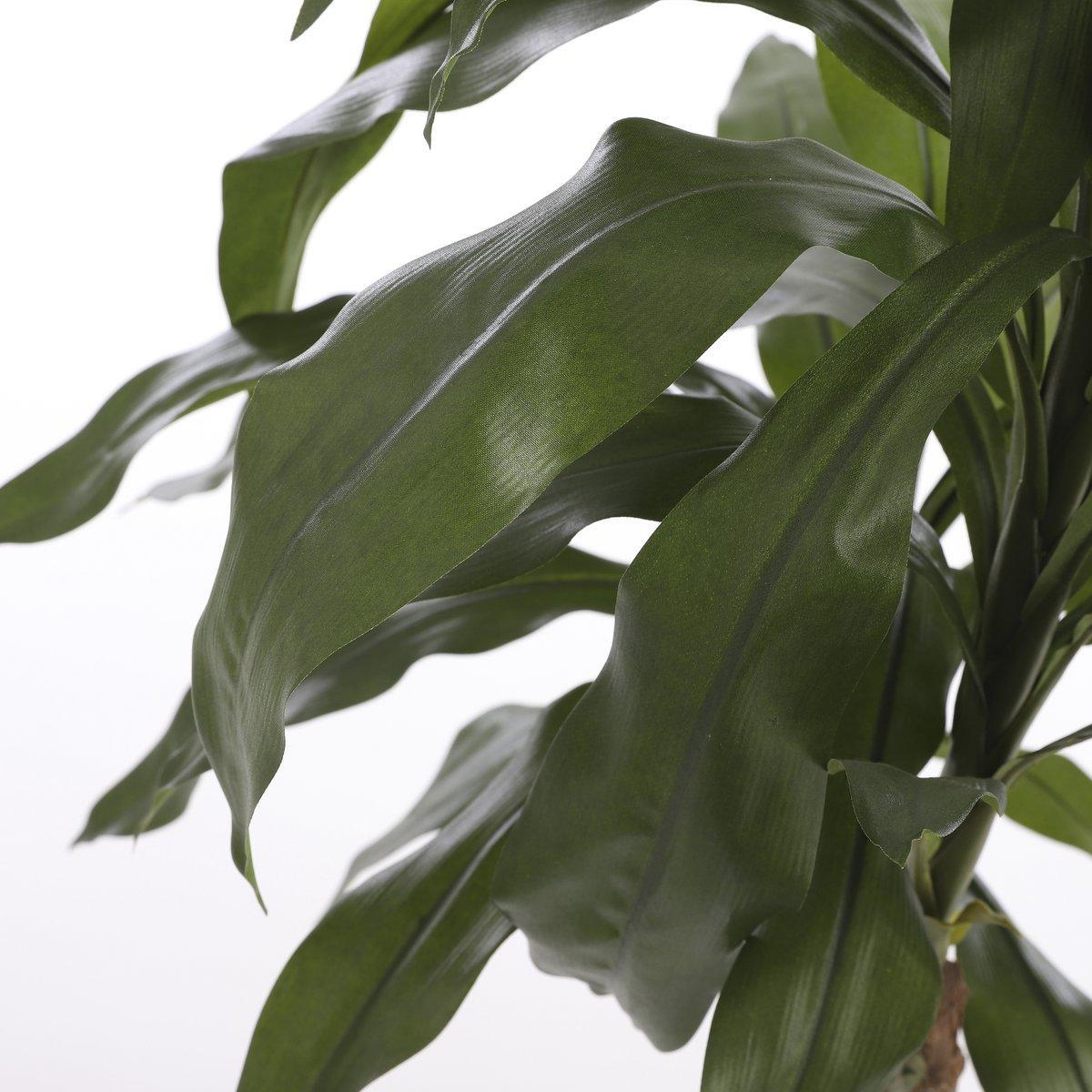 Dracaena Kunstplant - H100 x Ø70 cm-Mica Decorations-Ik Hout ervan.