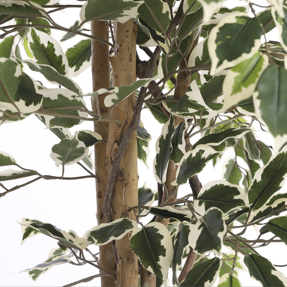 Ficus Kunstplant - H180 x Ø90 cm - Groen Bont-Mica Decorations-Ik Hout ervan.