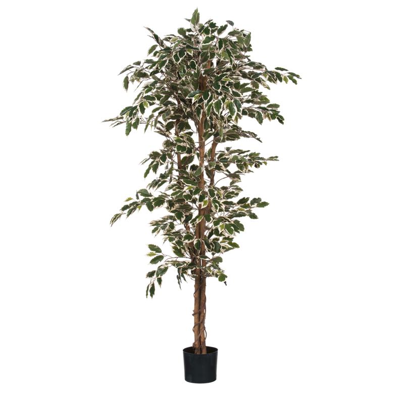 Ficus Kunstplant - H180 x Ø90 cm - Groen Bont-Mica Decorations-Ik Hout ervan.