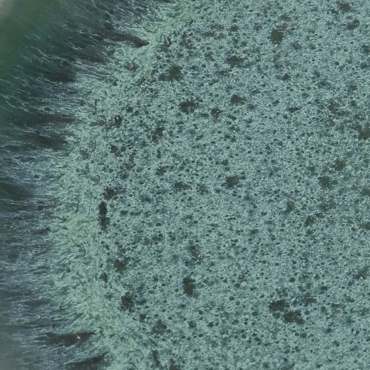 Het Aqua Saladebord - Set van 6