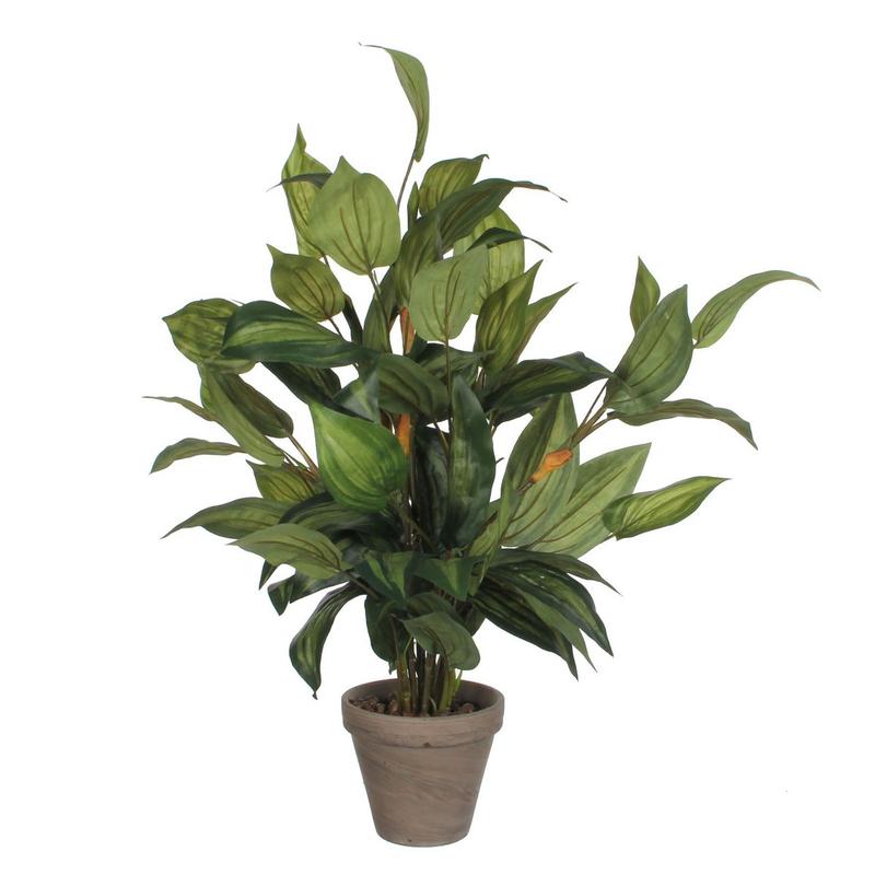 Hosta Kunstplant in Bloempot Stan - H65 x Ø40 cm - Groen-Mica Decorations-Ik Hout ervan.