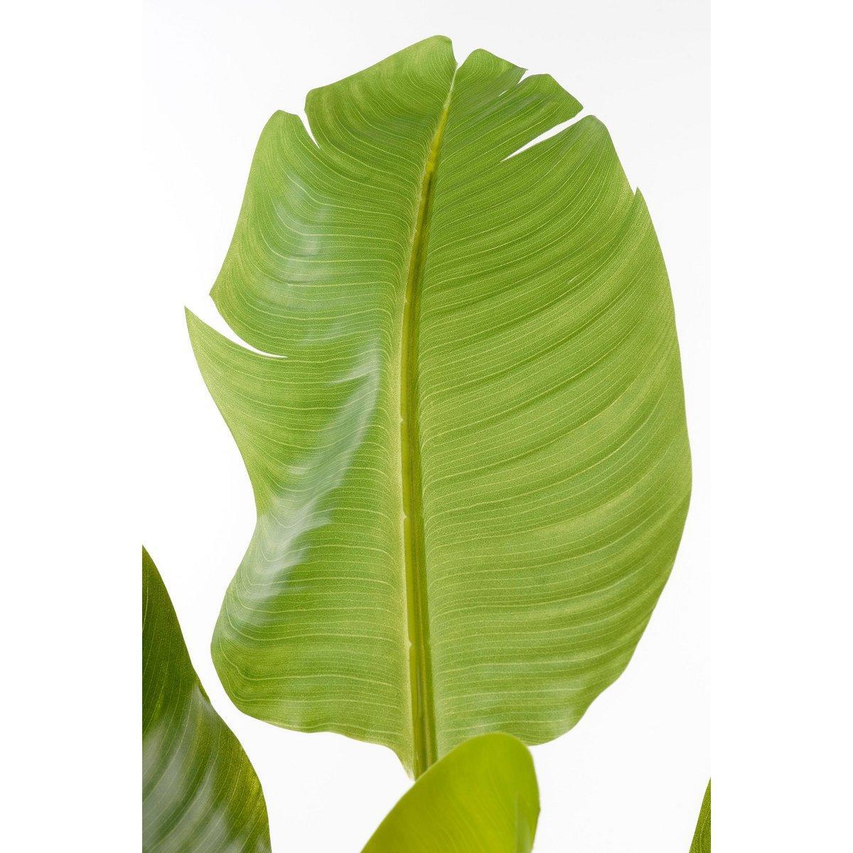 Kunst Bananenplant - H120 x Ø70 cm - Groen-Mica Decorations-Ik Hout ervan.