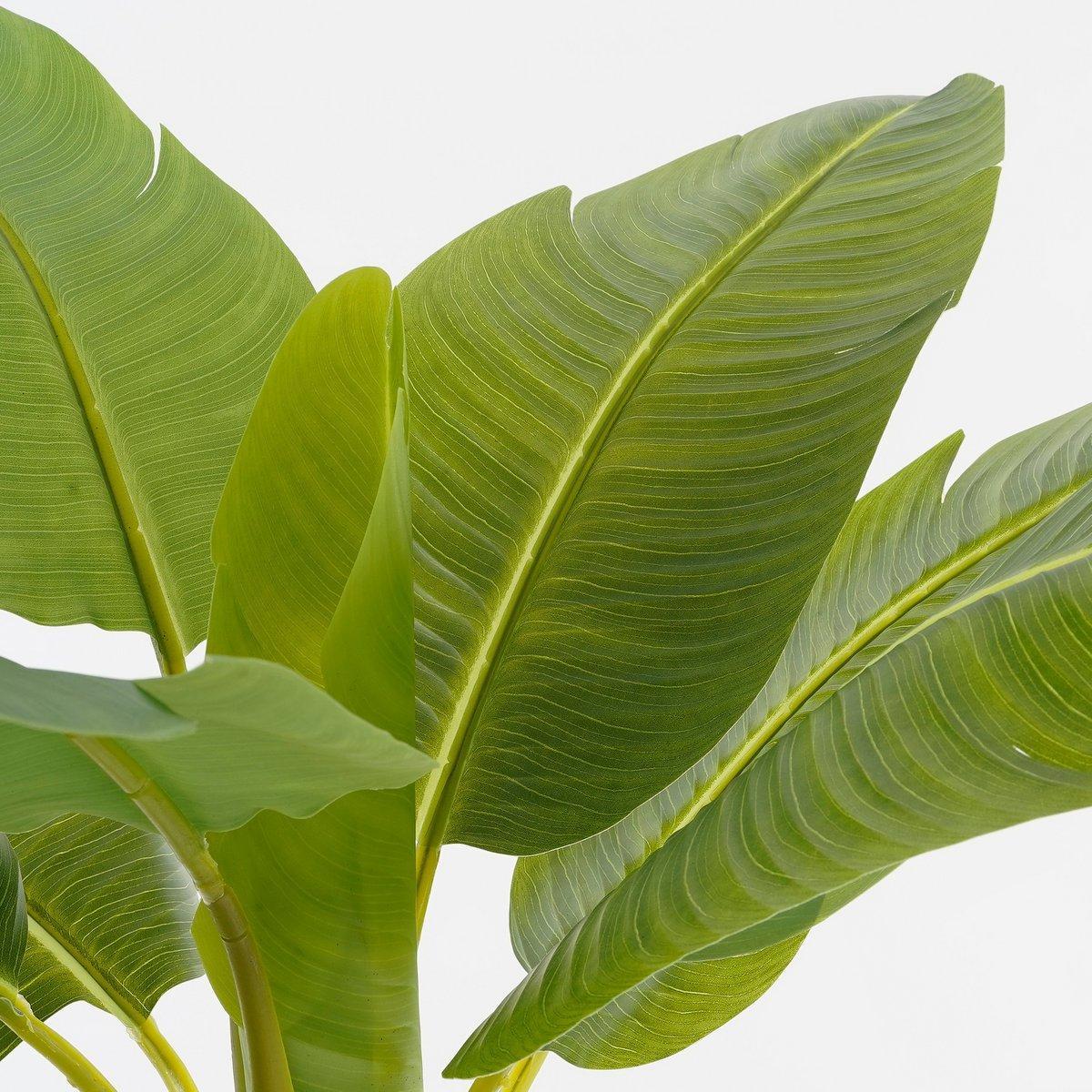 Kunstplant Bananenboom in Pot - H155 x Ø90 cm - Groen-Mica Decorations-Ik Hout ervan.