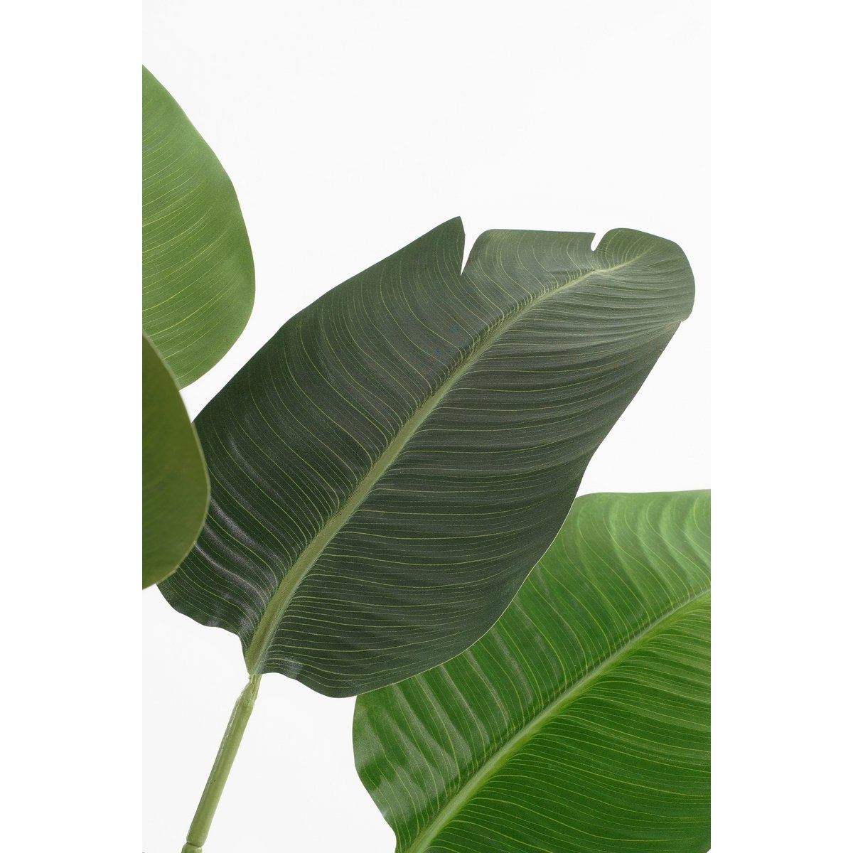 Kunstplant Bananenboom in Pot - H180 x Ø30 cm - Groen-Mica Decorations-Ik Hout ervan.