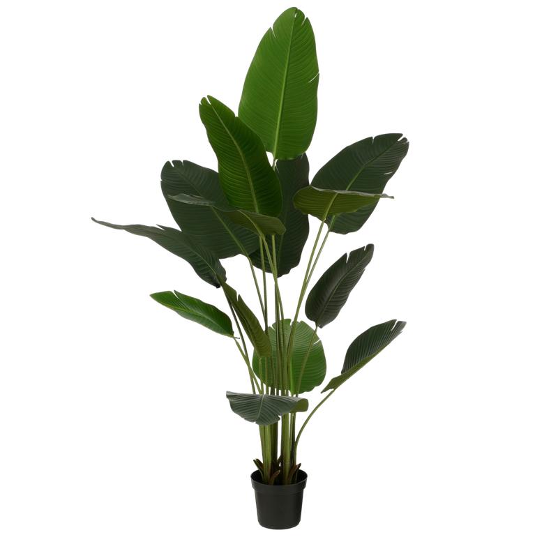 Kunstplant Bananenboom in Pot - H180 x Ø30 cm - Groen-Mica Decorations-Ik Hout ervan.