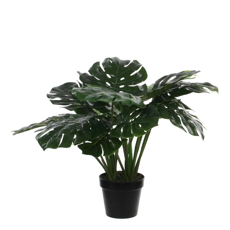 Monstera Kunstplant - H60 x Ø80 cm - Groen-Mica Decorations-Ik Hout ervan.
