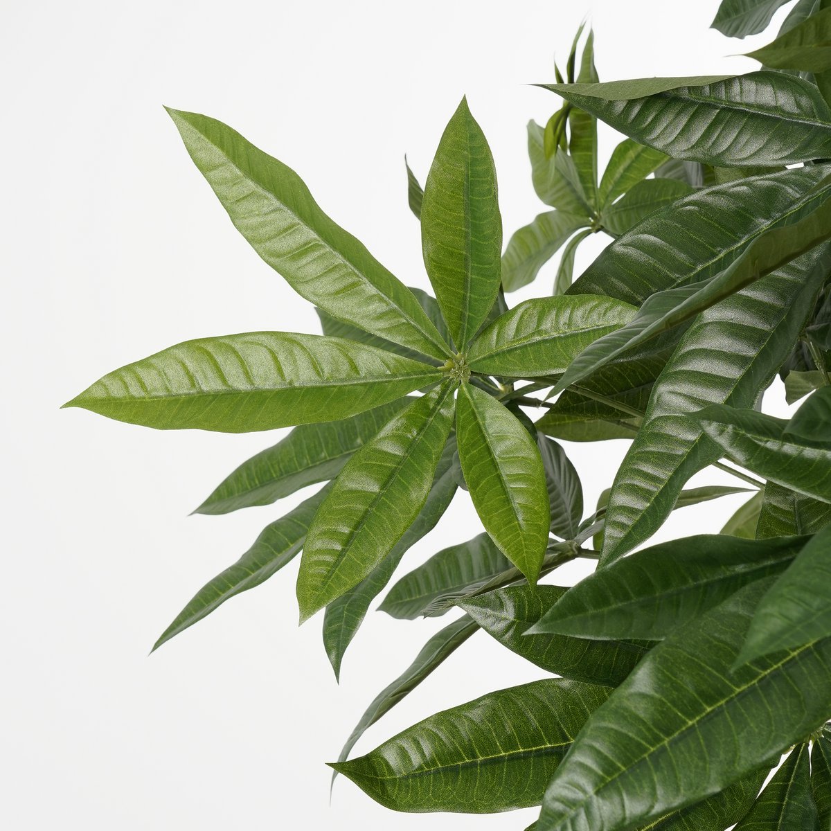 Pachira Kunstplant - H120 x Ø50 cm - Groen-Mica Decorations-Ik Hout ervan.