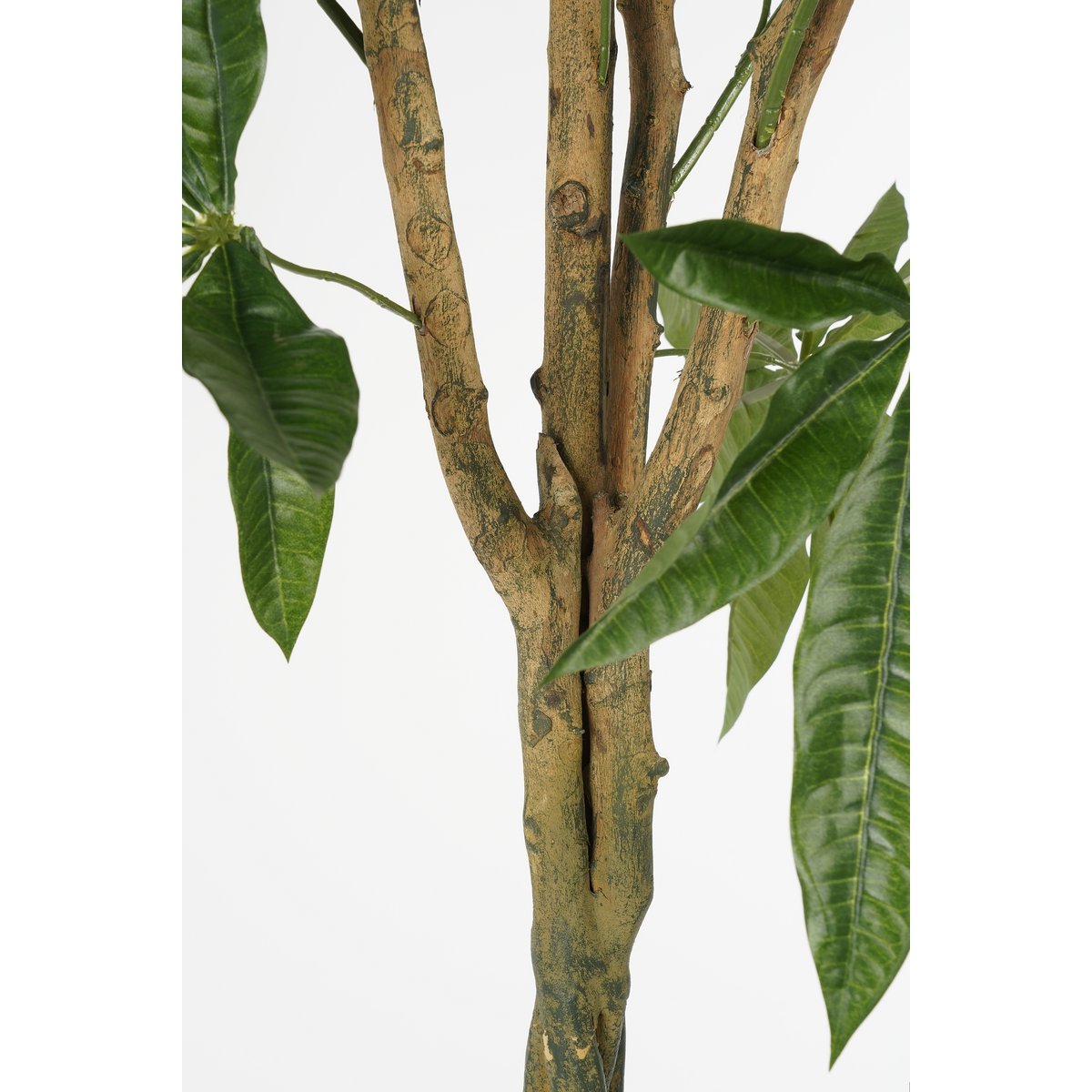 Pachira Kunstplant - H120 x Ø50 cm - Groen-Mica Decorations-Ik Hout ervan.
