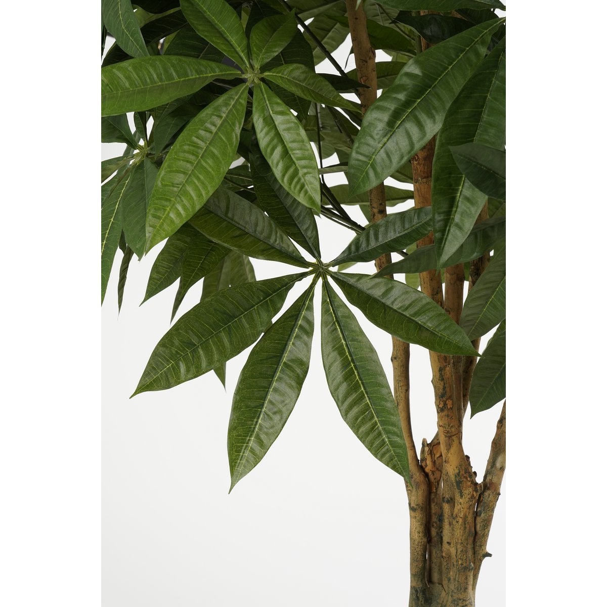 Pachira Kunstplant - H150 x Ø65 cm - Groen-Mica Decorations-Ik Hout ervan.
