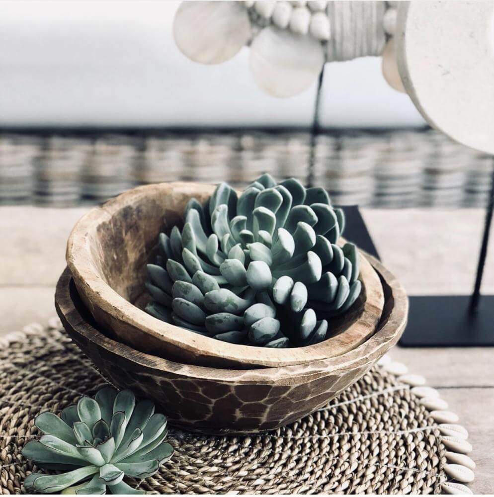 Houten schaal met zeegras placemat en vetplant decor voor boho-interieur.