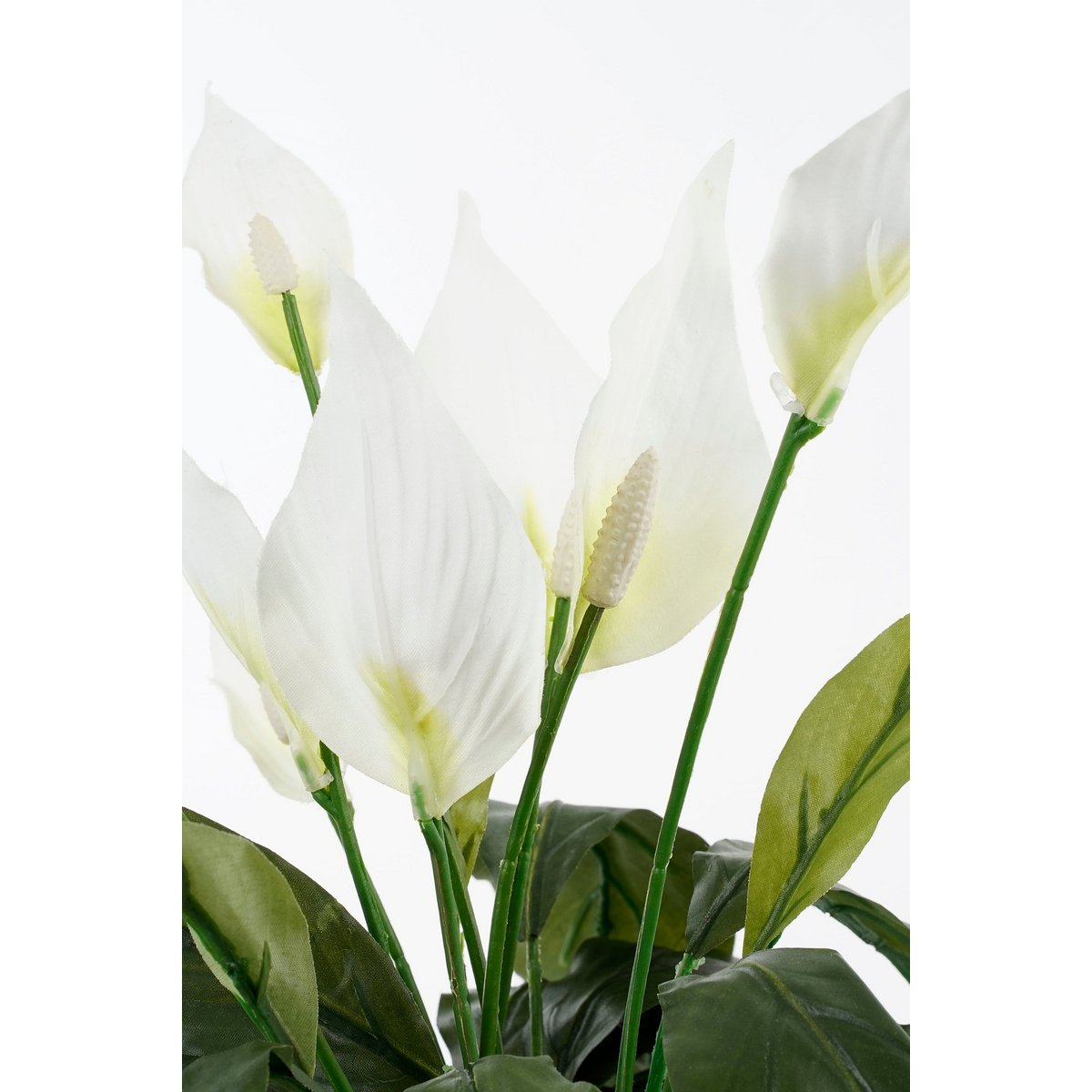 Spathiphyllum Kunstplant in Bloempot Stan - H50 x Ø40 cm - Wit-Mica Decorations-Ik Hout ervan.