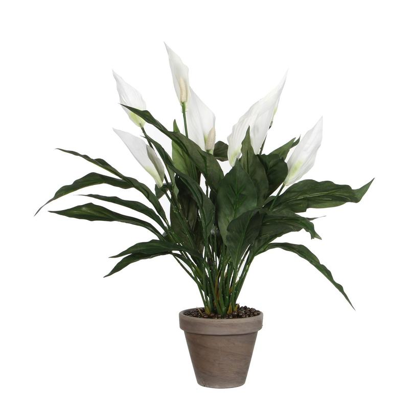 Spathiphyllum Kunstplant in Bloempot Stan - H50 x Ø40 cm - Wit-Mica Decorations-Ik Hout ervan.
