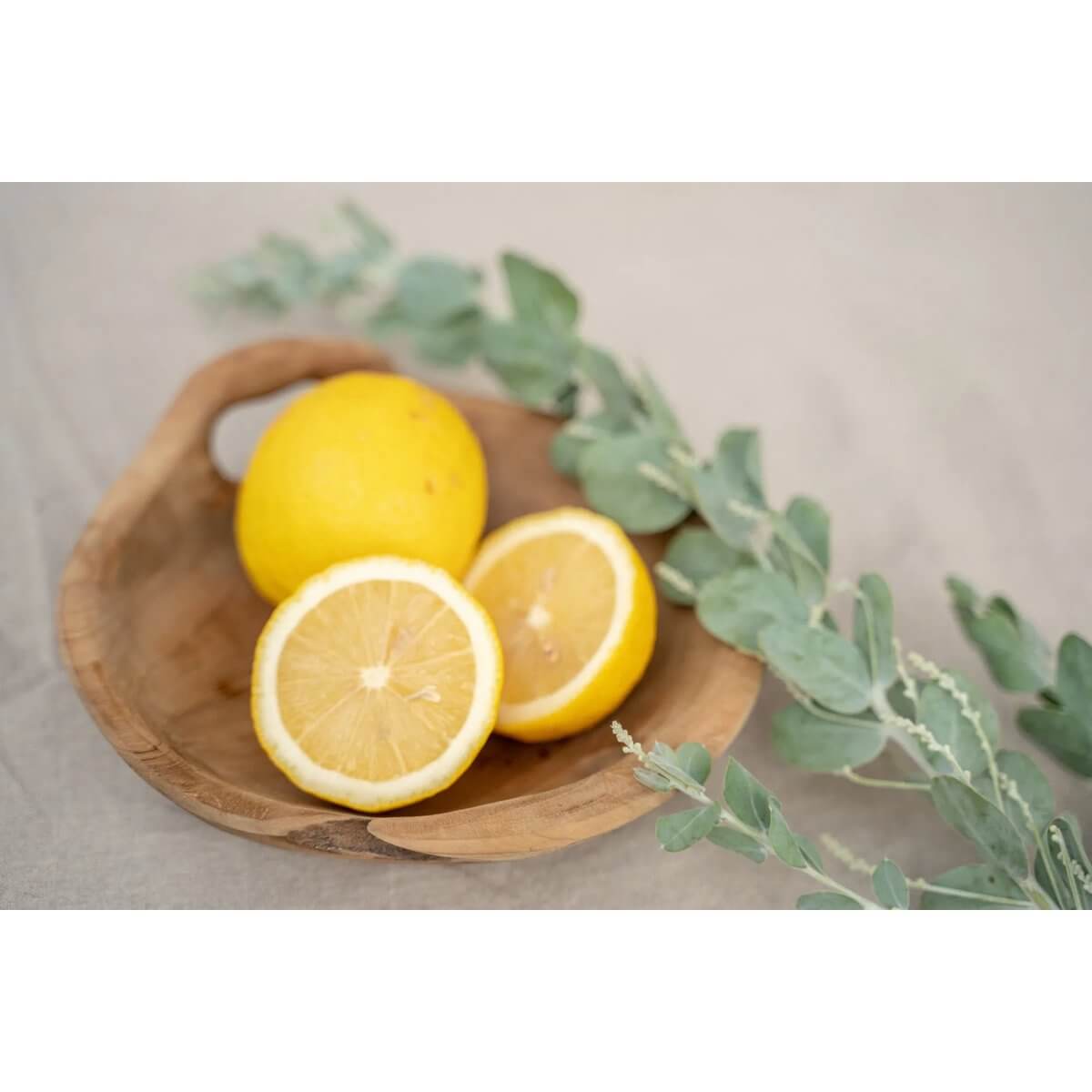 Bohemian teakhouten schaal met citroenen en eucalyptus, perfect voor tafeldecoratie of opslag. Luxe en handgemaakt met natuurlijke tinten.