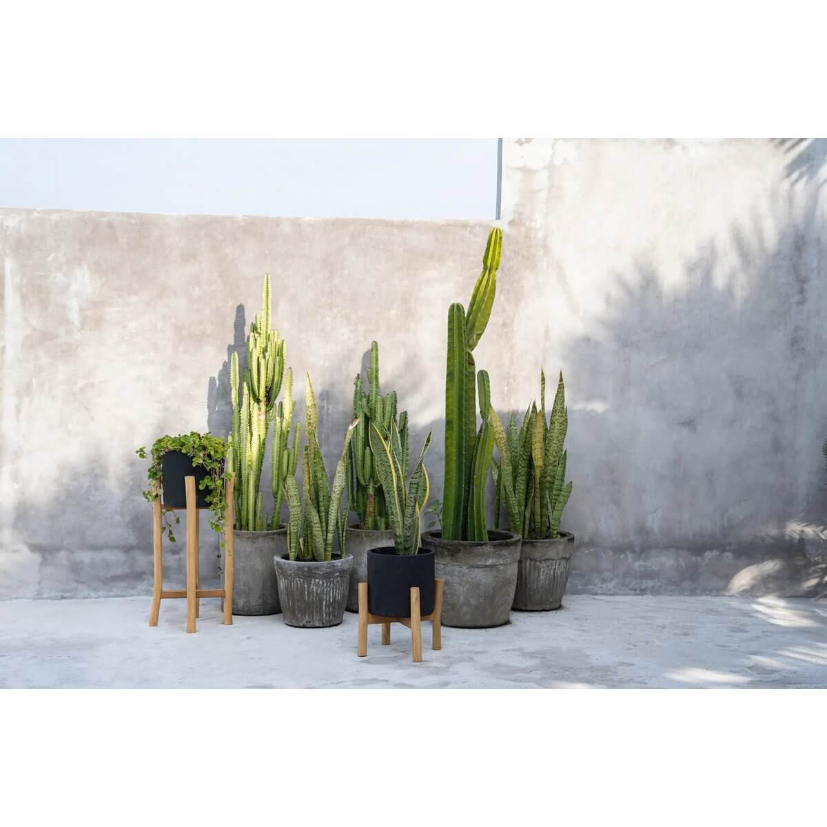 The Charcoal Low - Zwart Naturel - S