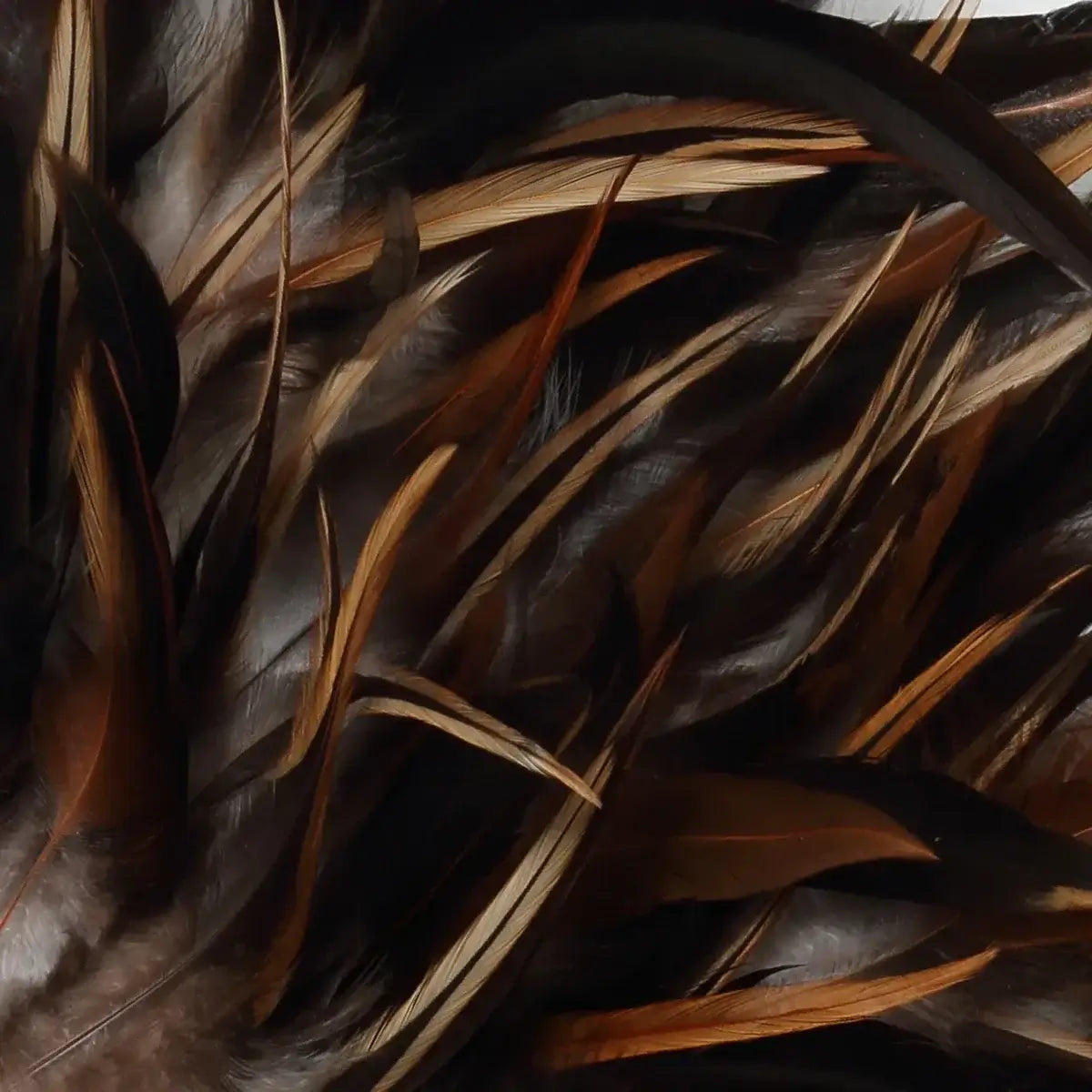 The Coastal Juju with black and brown feathers, bohemian wall display by Bazar Bizar, decorated with hand-placed shells.