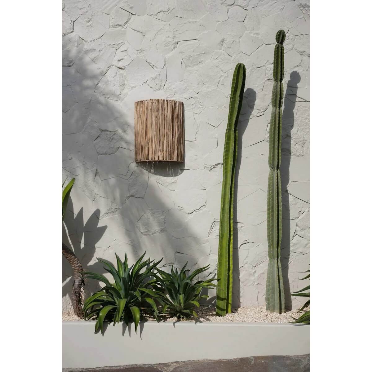 Alt Tag: Kohei Wall Applique met natuurlijke sisal op een moderne muur tussen cactussen, biedt warme verlichting en Boho-stijl decor.