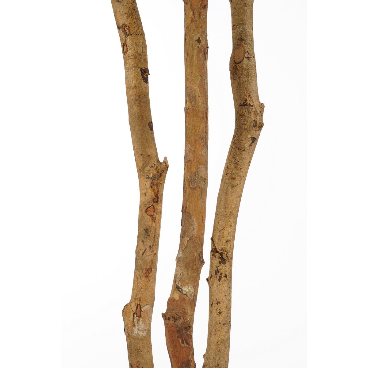 Vingerplant Kunstplant in Bloempot - H150 x Ø70 cm - Groen-Kunst planten-Mica Decorations-Ik Hout ervan.