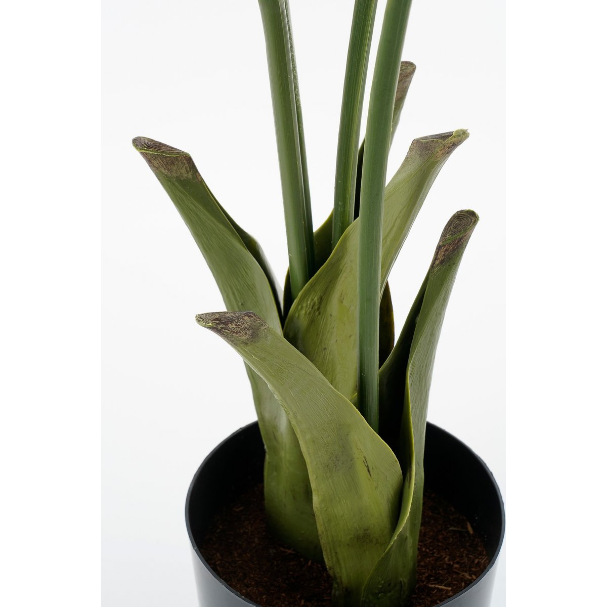 Vissenstaart Palm Kunstplant in Pot - H150 x Ø100 cm - Groen