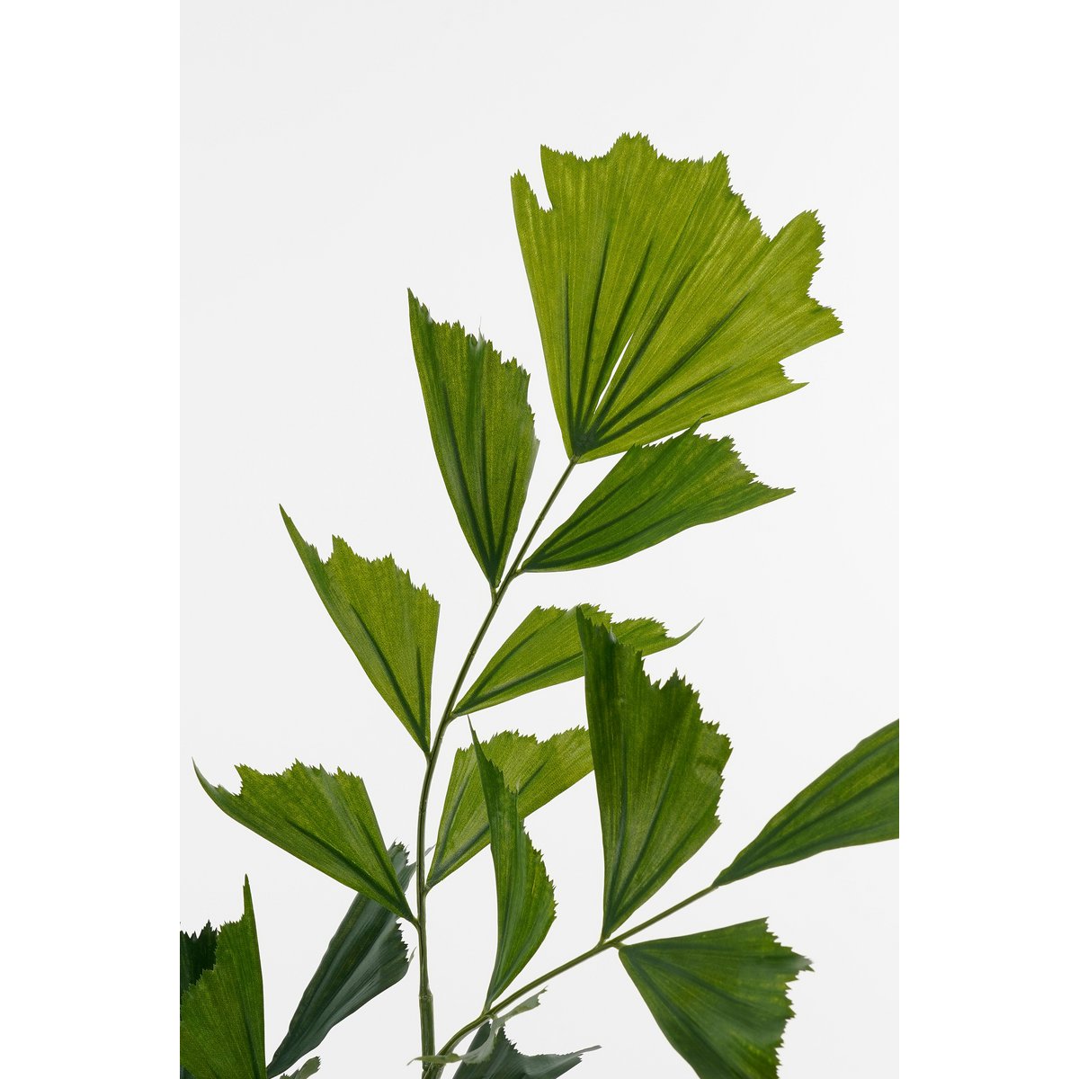 Vissenstaart Palm Kunstplant in Pot - H150 x Ø100 cm - Groen-Mica Decorations-Ik Hout ervan.