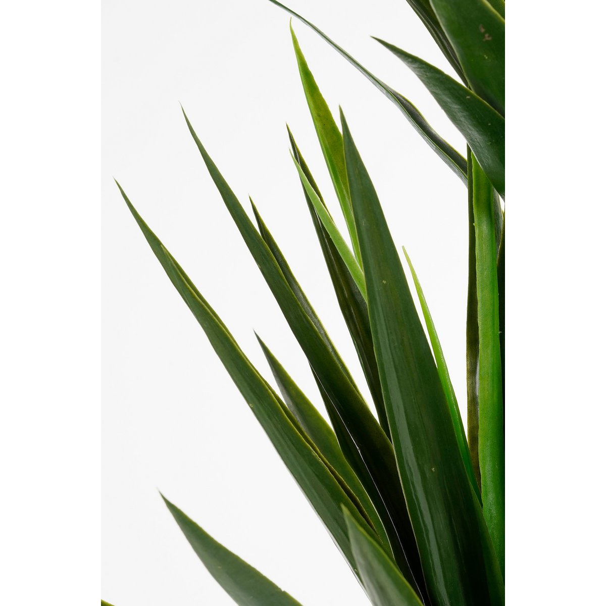 Yucca Kunstplant - H160 x Ø80 cm - Groen-Mica Decorations-Ik Hout ervan.