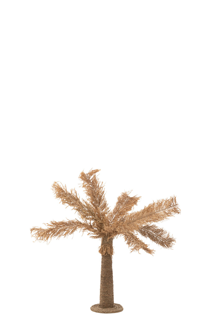 Palmtree Zeegras Natuurlijk Klein J-Line Palmboom Zeegras Natuurlijk Klein Materiaal Breedte: 28 cm Hoogte: 133 cm Lengte: 28 cm Gewicht: 1,8 kg Collectie: Zomer 2024 Kleur: Natuurlijke samenstelling: Zeegras (80%), hars (20%)